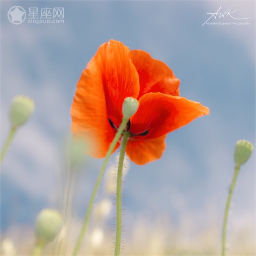 12星座女提高自身气质的好方法
