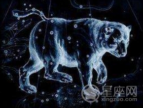 大熊星座是哪几个星座组成的