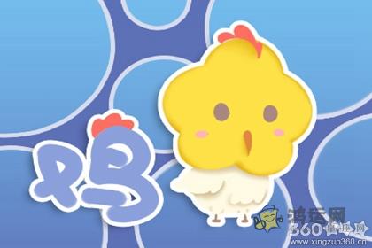 鸡和兔合婚吗 属相婚姻情况