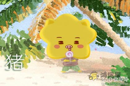 两个属猪的人在一起合适么 运势怎么样
