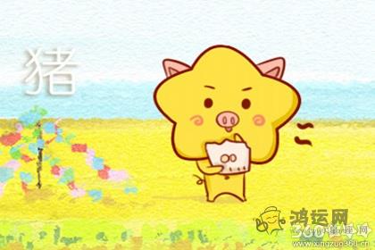 两个属猪的人在一起合适么 运势怎么样