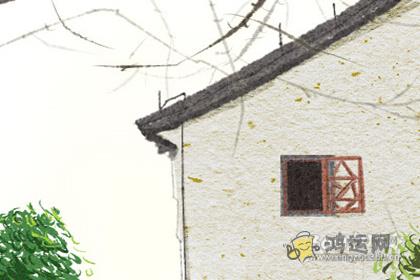 属猪和属鼠的婚姻怎么样 在一起合适度多少