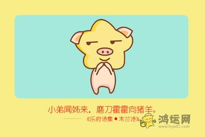 属龙属猪适合做夫妻吗 龙和猪的婚配结果