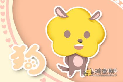这些生肖的嘴里 你听不到任何表扬的