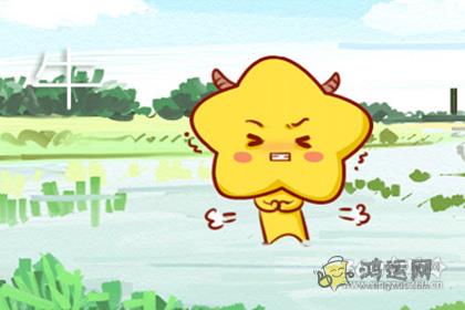 不去猜测 只留一团悬疑入梦乡的生肖