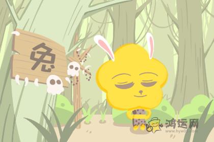 在生活中总是追求完美 做到最好的生肖
