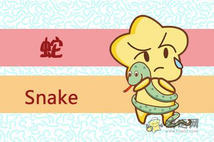 夏天可以自控不吃冷饮的生肖女