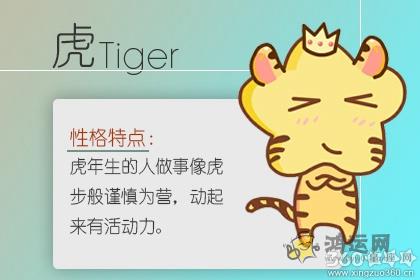 不懂看人做事 比较直白的生肖