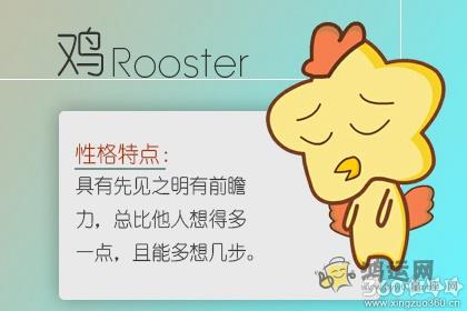 不懂看人做事 比较直白的生肖