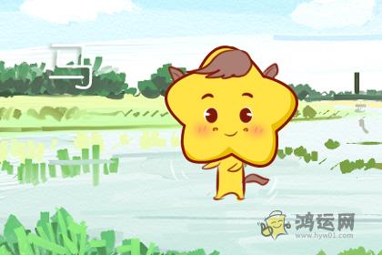 天生乐观 喜欢寻求挑战的四大生肖