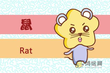 做事风格沉稳 失误率极低的四大生肖