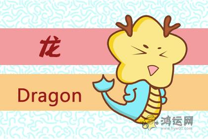 做事风格沉稳 失误率极低的四大生肖