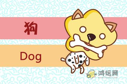 做事风格沉稳 失误率极低的四大生肖