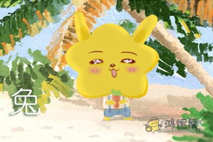 性格很软 但心很硬的生肖