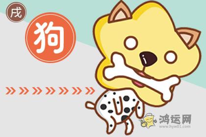 有能力但是很低调 不张扬不炫耀的生肖