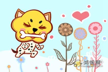 贪小便宜 这四大生肖天天都晚上才去买菜