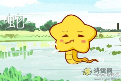 天生丽质 这几个生肖女拥有成为网红的潜质