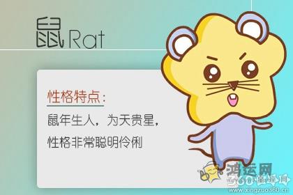 自我提升 这些生肖始终没有放弃学习