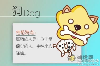 自我提升 这些生肖始终没有放弃学习