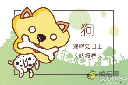 婚恋市场上最成功的四大生肖男
