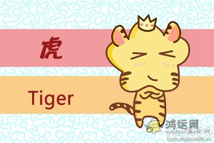 快来看 这些生肖男又在外面搞事情了