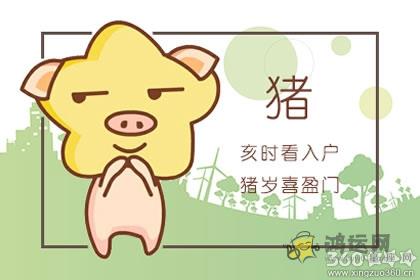 绿茶婊 这些生肖女不仅喜欢搞暧昧 还喜欢坑男友