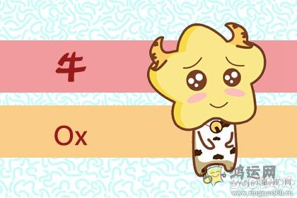 哪些生肖男不会主动追求女生
