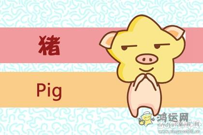 哪些生肖男不会主动追求女生