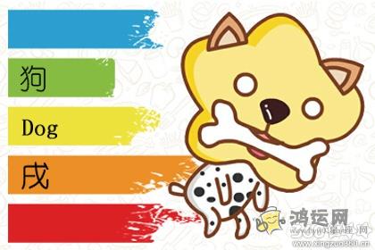有情绪不轻易外露的四大生肖