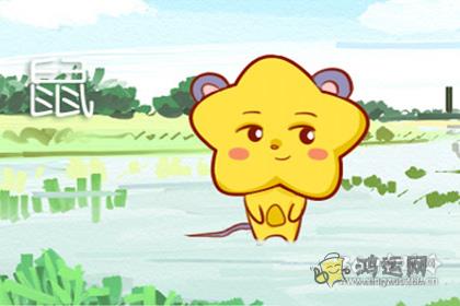 热衷于看国产婆媳剧的生肖男