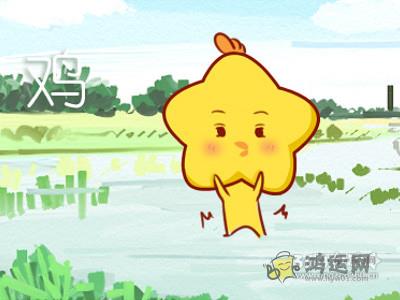十二生肖
