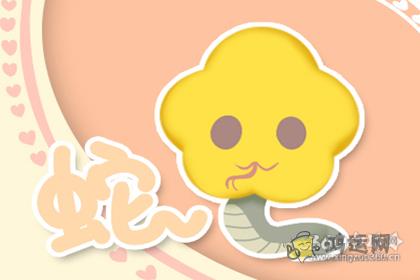 从来不服软 不占便宜不罢休的生肖