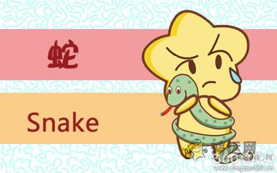 十二生肖