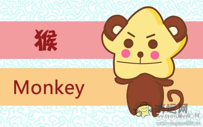 让人从信任走到没有可信性的生肖