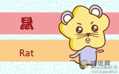 嗜赌成性的生肖会回归生活吗