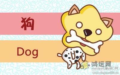 十二生肖