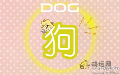 十二生肖