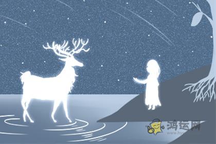 总是会去计较得失的生肖男