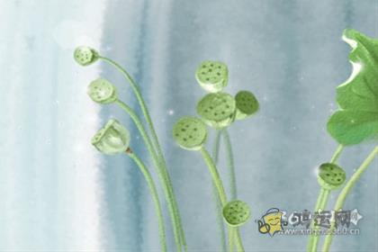 沉迷游戏与现实脱轨的生肖男