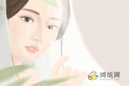 十二生肖