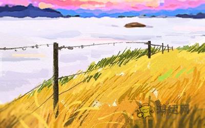 看似节俭实则败家的生肖男