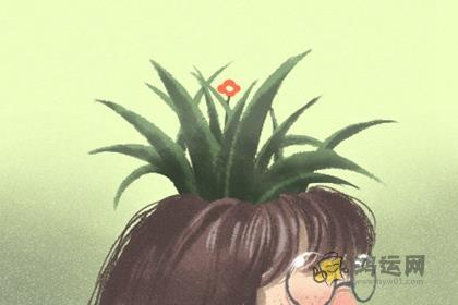 十二生肖