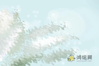 一不开心就换自己所有密码的生肖女