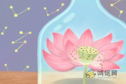将心比心？这些生肖最会为别人着想