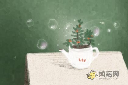 遇上这样的生肖女老司机也翻船