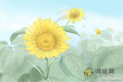喝醉酒一夜情也会告诉老婆的生肖男