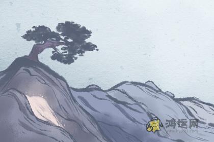 一直在人情世故方面停滞不前的生肖