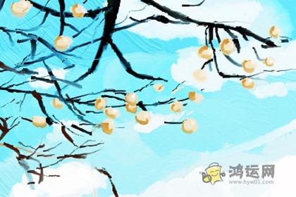 十二生肖女在爱情中最大的毛病是什么