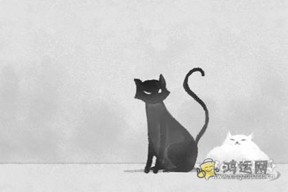 无论工作怎么努力 总是被排挤的生肖