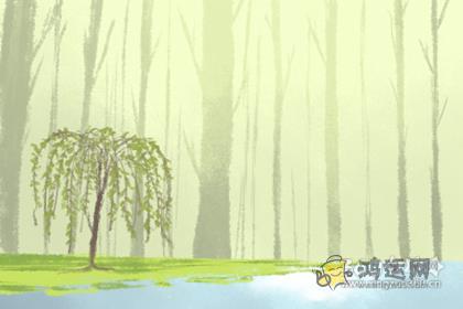 爱创新 这些生肖男不走寻常路